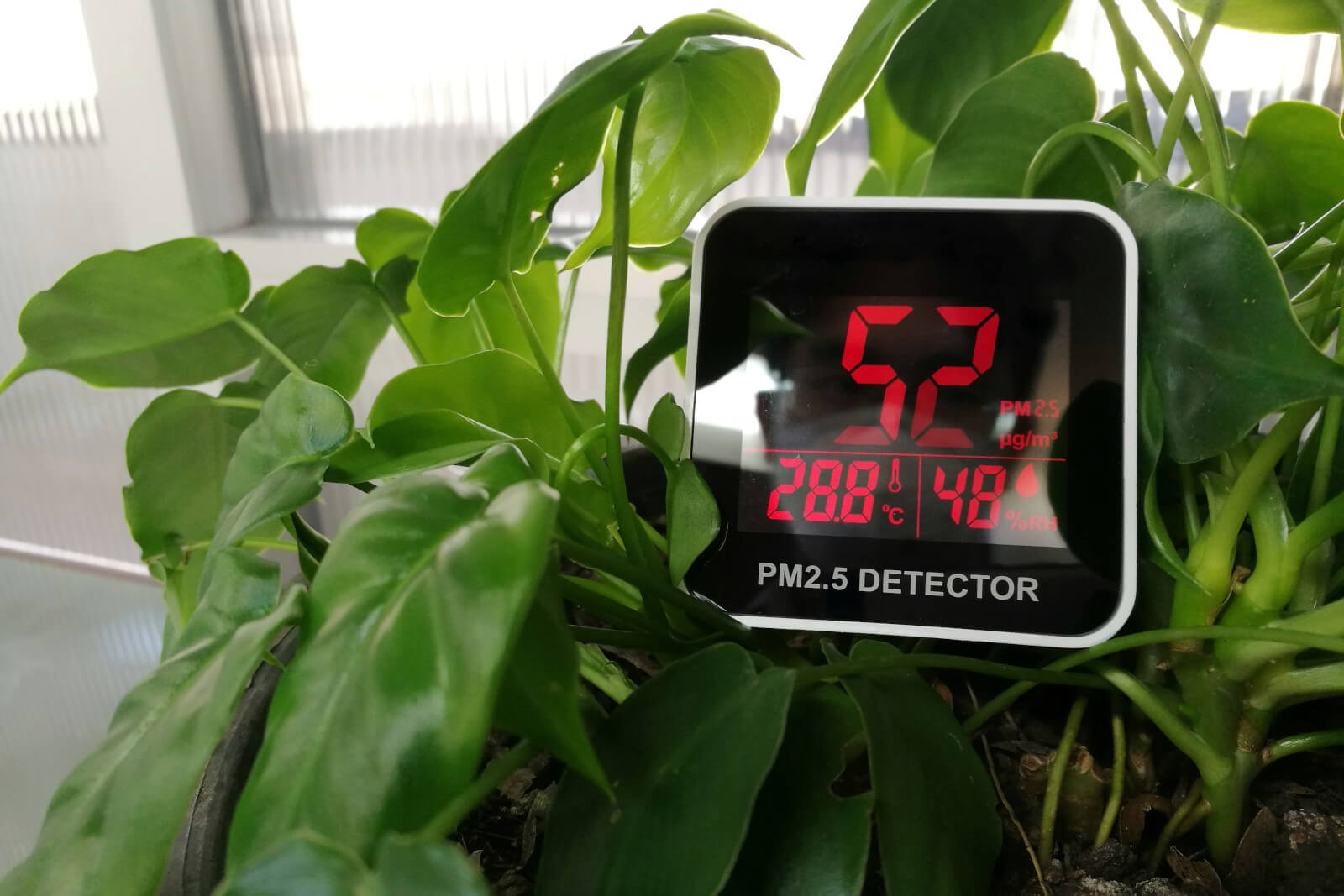 Indoor Air Quality Monitors