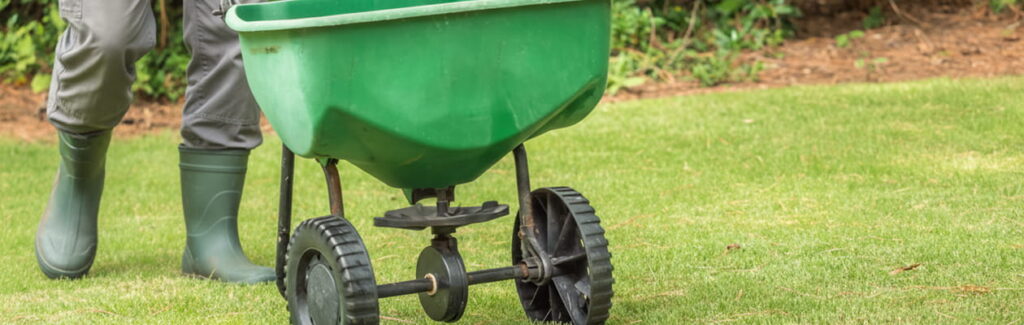 Grounds crew member applying granular fertilizer to turf.