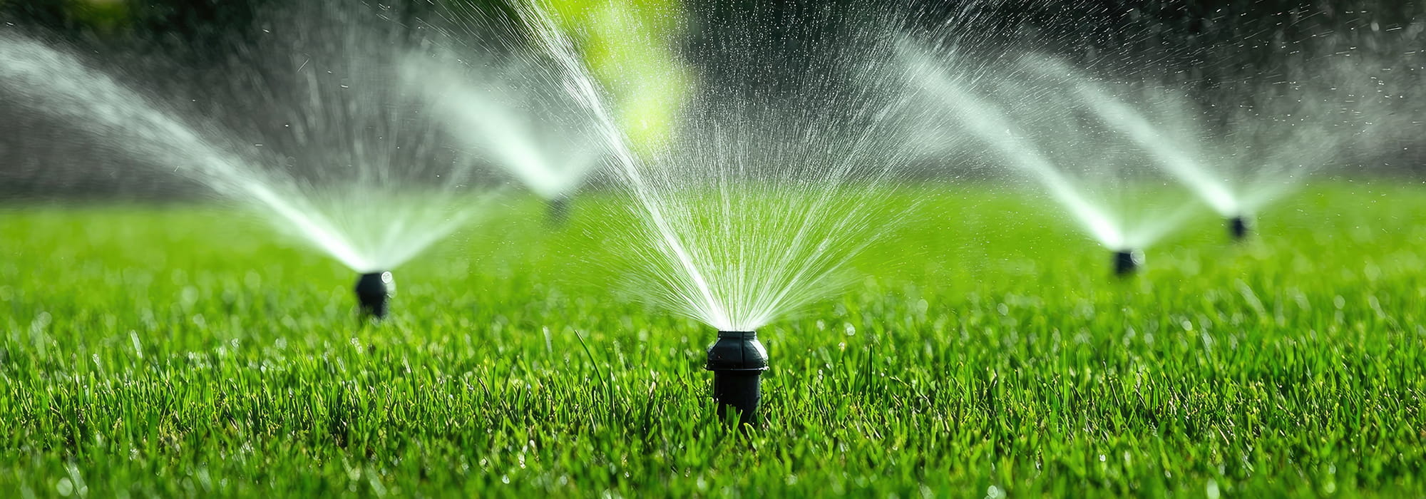 Automatic sprinklers for efficient grass irrigation