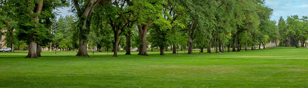 Campus Lawn